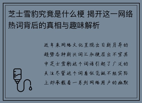 芝士雪豹究竟是什么梗 揭开这一网络热词背后的真相与趣味解析
